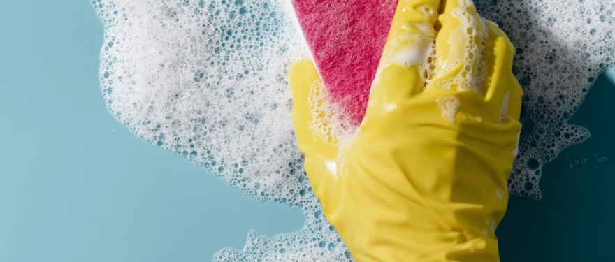 Keeping a Clean and Sanitary Workplace in Food Processing