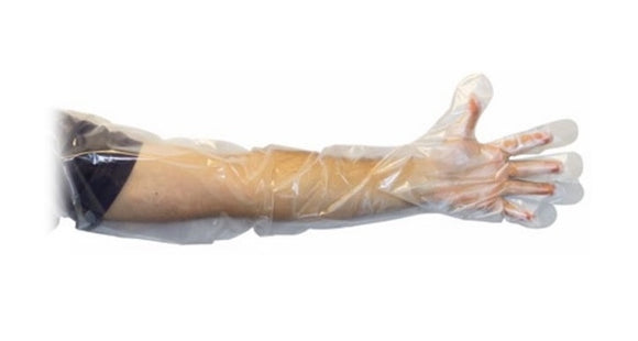 Gants en polyéthylène (PE) sans poudre jusqu'aux épaules | 35″