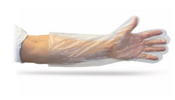 The Safety Zone Clear Powder Free Disposable Polyethylene Gloves