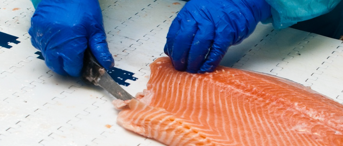 A Comprehensive Guide to Disposable Vinyl, Nitrile, and Latex Gloves: Protection Levels and Industry Benefits