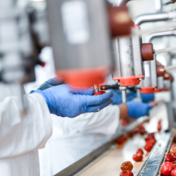 Gloves and PPE in foodservice factory