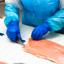 Food Processing Kitchen Essentials