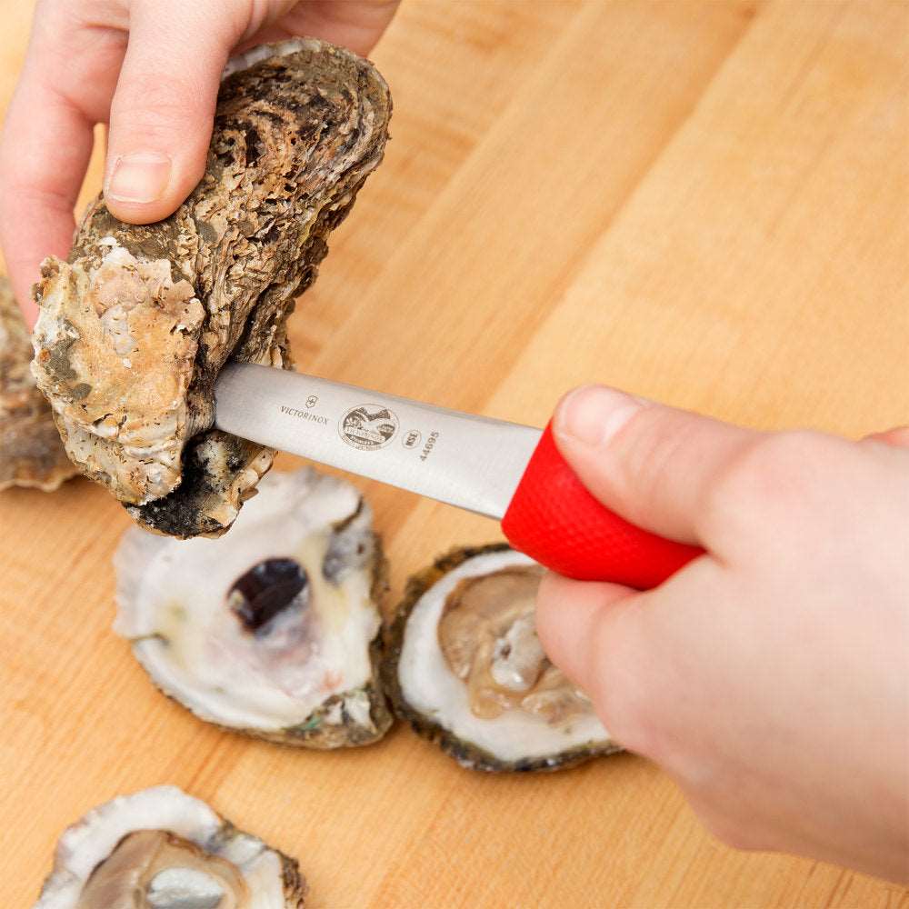 Galveston Style Blade Oyster Knife