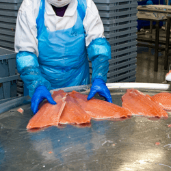 Disposable Polyethylene 18" Sleeves – Lightweight, Durable, Food Processing, and Industrial Protection