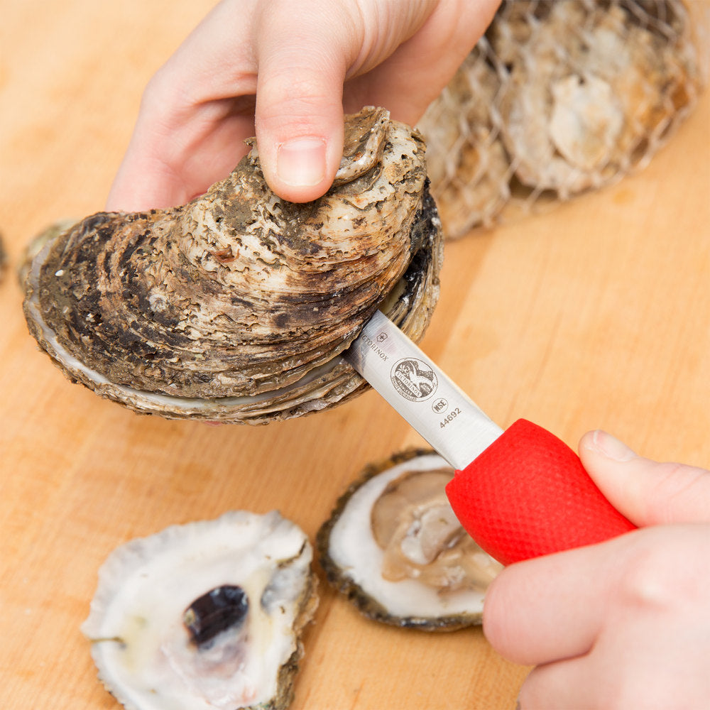 Providence Style Blade Oyster Knife - 0