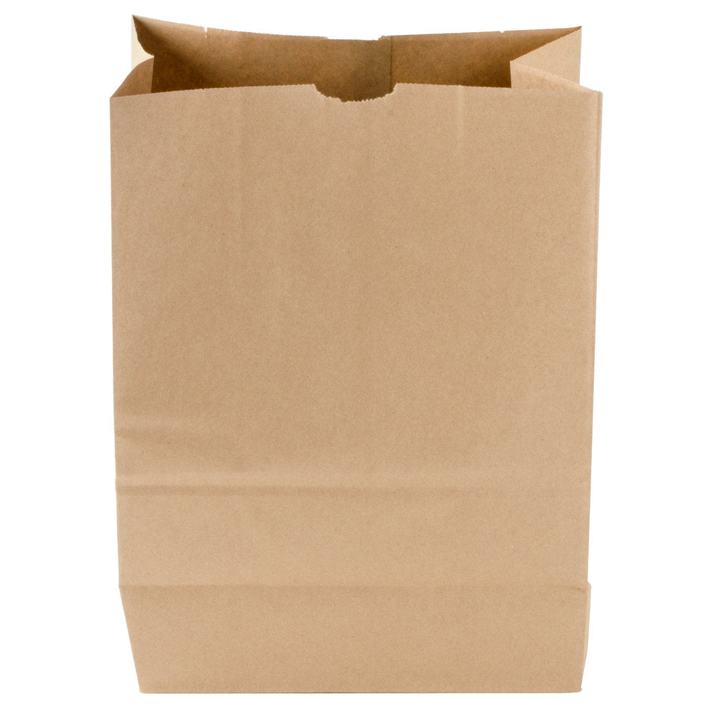 Brown Paper Bag 5 LB