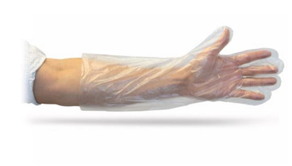 The Safety Zone Clear Powder Free Disposable Polyethylene Gloves